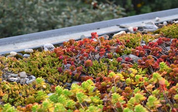the cost of Winterbourne Monkton green roof installation