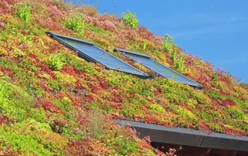 Winterbourne Monkton living roof systems