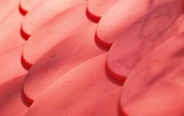 Winterbourne Monkton plastic roof costs