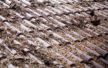 Winterbourne Monkton roof cleaning companies