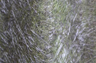 Winterbourne Monkton fibreglass roof work